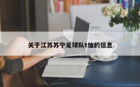 关于江苏苏宁足球队t恤的信息
