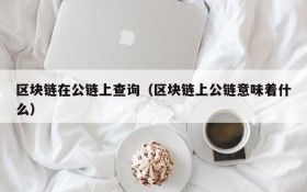 区块链在公链上查询(区块链上公链意味着什么)