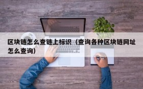 区块链怎么查链上标识(查询各种区块链网址怎么查询)