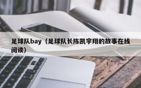 足球队bay(足球队长陈凯宇翔的故事在线阅读)
