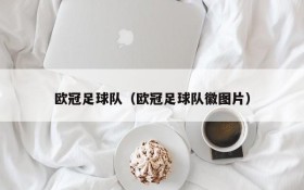 欧冠足球队(欧冠足球队徽图片)