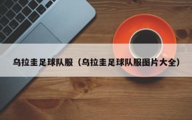 乌拉圭足球队服(乌拉圭足球队服图片大全)