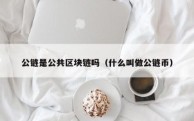 公链是公共区块链吗(什么叫做公链币)