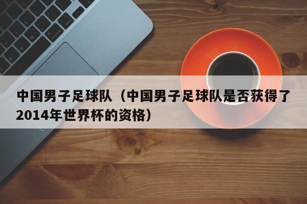 中国男子足球队（中国男子足球队是否获得了2014年世界杯的资格）