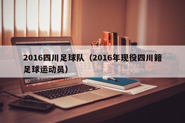 2016四川足球队（2016年现役四川籍足球运动员）
