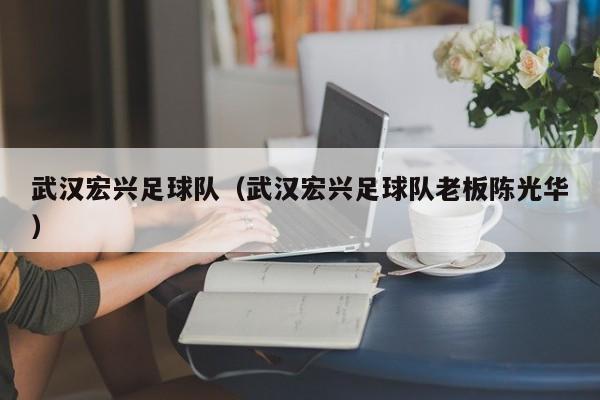 武汉宏兴足球队（武汉宏兴足球队老板陈光华）