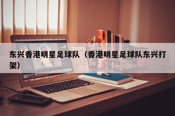 东兴香港明星足球队（香港明星足球队东兴打架）
