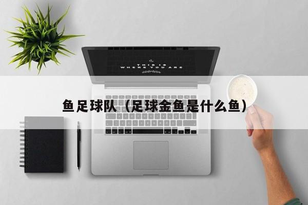 鱼足球队（足球金鱼是什么鱼）