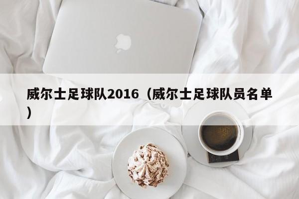 威尔士足球队2016（威尔士足球队员名单）
