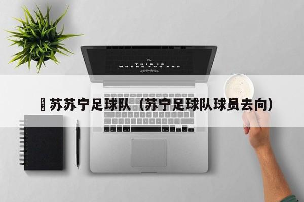 冮苏苏宁足球队（苏宁足球队球员去向）