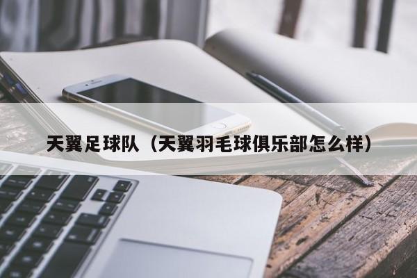 天翼足球队（天翼羽毛球俱乐部怎么样）