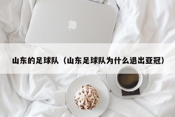 山东的足球队（山东足球队为什么退出亚冠）