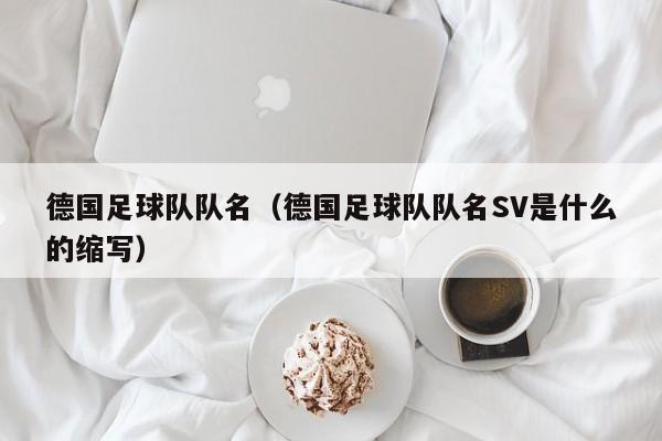 德国足球队队名（德国足球队队名SV是什么的缩写）