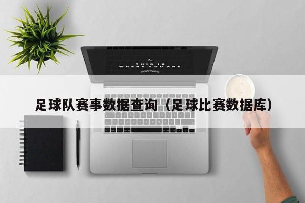 足球队赛事数据查询（足球比赛数据库）
