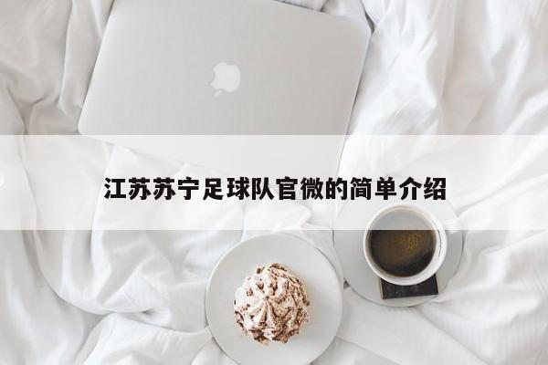 江苏苏宁足球队官微的简单介绍