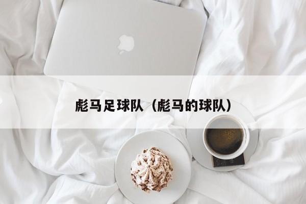 彪马足球队（彪马的球队）