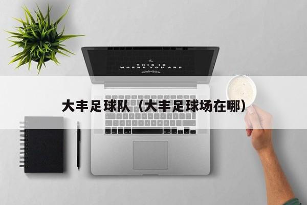 大丰足球队（大丰足球场在哪）