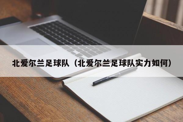 北爱尔兰足球队（北爱尔兰足球队实力如何）