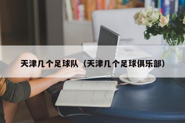天津几个足球队（天津几个足球俱乐部）