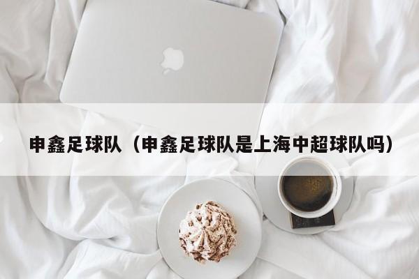 申鑫足球队（申鑫足球队是上海中超球队吗）
