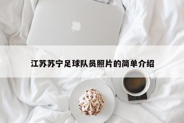 江苏苏宁足球队员照片的简单介绍