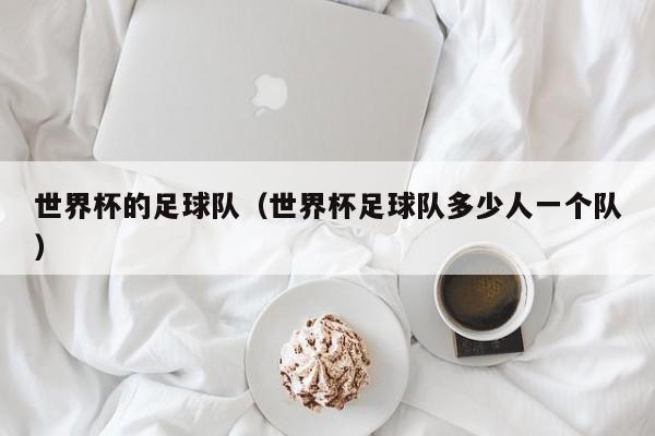 世界杯的足球队（世界杯足球队多少人一个队）