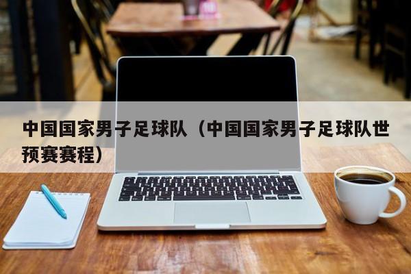 中国国家男子足球队（中国国家男子足球队世预赛赛程）