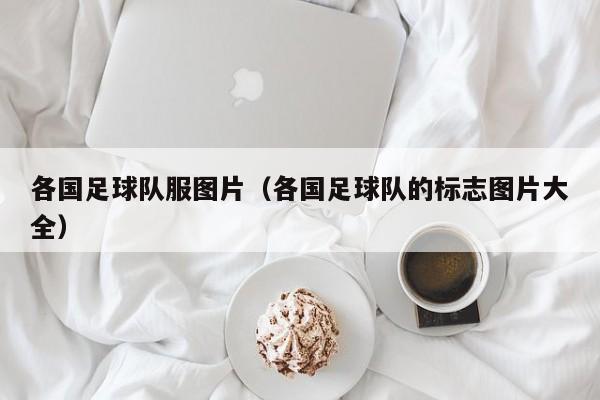 各国足球队服图片（各国足球队的标志图片大全）