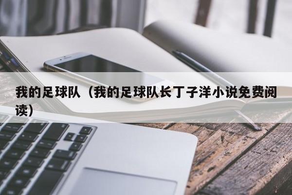 我的足球队（我的足球队长丁子洋小说免费阅读）