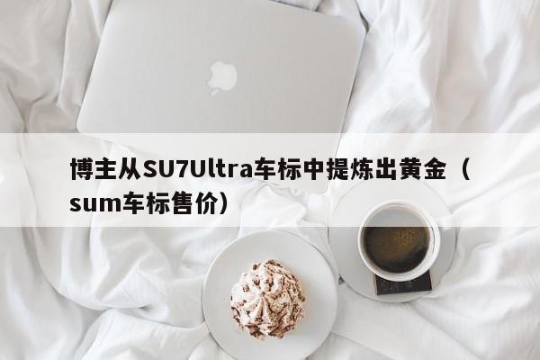 博主从SU7Ultra车标中提炼出黄金（sum车标售价）
