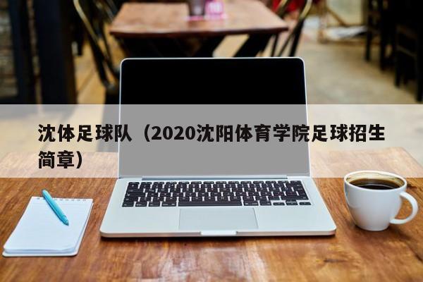 沈体足球队（2020沈阳体育学院足球招生简章）