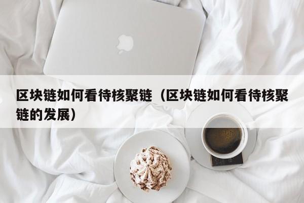 区块链如何看待核聚链（区块链如何看待核聚链的发展）