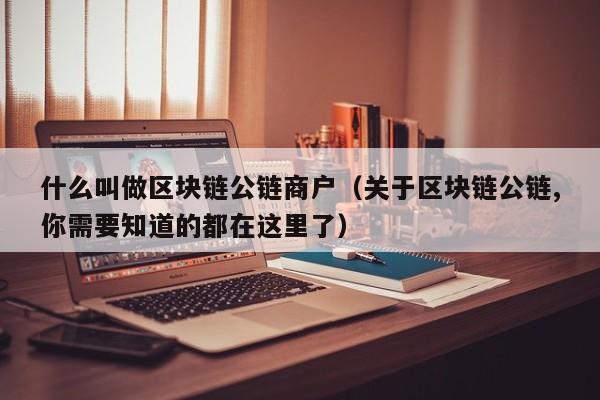 什么叫做区块链公链商户（关于区块链公链,你需要知道的都在这里了）