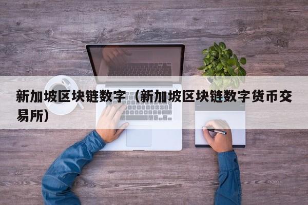 新加坡区块链数字（新加坡区块链数字货币交易所）