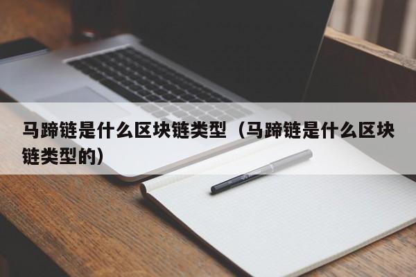 马蹄链是什么区块链类型（马蹄链是什么区块链类型的）