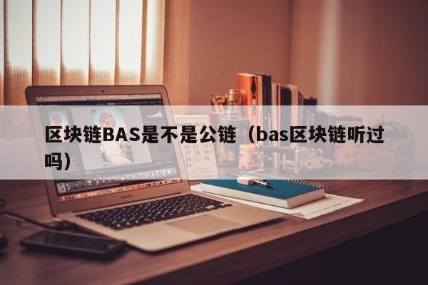 区块链BAS是不是公链（bas区块链听过吗）