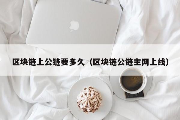 区块链上公链要多久（区块链公链主网上线）