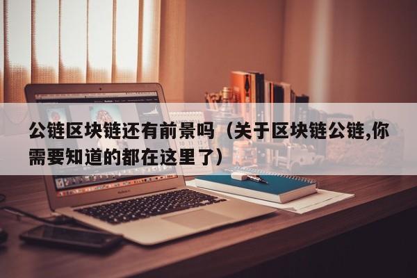 公链区块链还有前景吗（关于区块链公链,你需要知道的都在这里了）