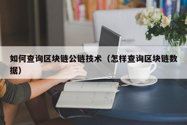 如何查询区块链公链技术（怎样查询区块链数据）