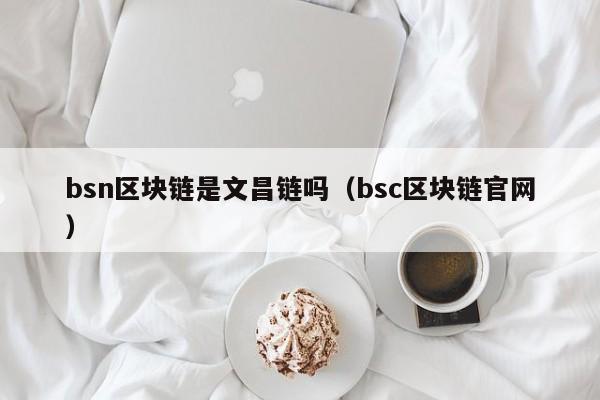 bsn区块链是文昌链吗（bsc区块链官网）