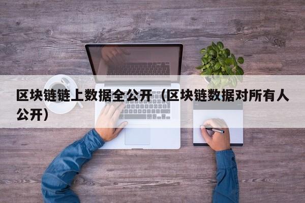 区块链链上数据全公开（区块链数据对所有人公开）