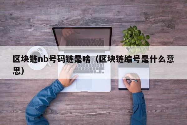 区块链nb号码链是啥（区块链编号是什么意思）