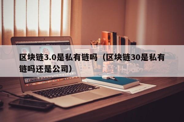 区块链3.0是私有链吗（区块链30是私有链吗还是公司）