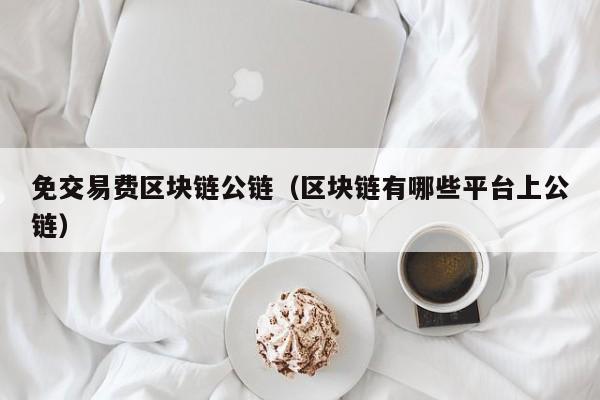 免交易费区块链公链（区块链有哪些平台上公链）