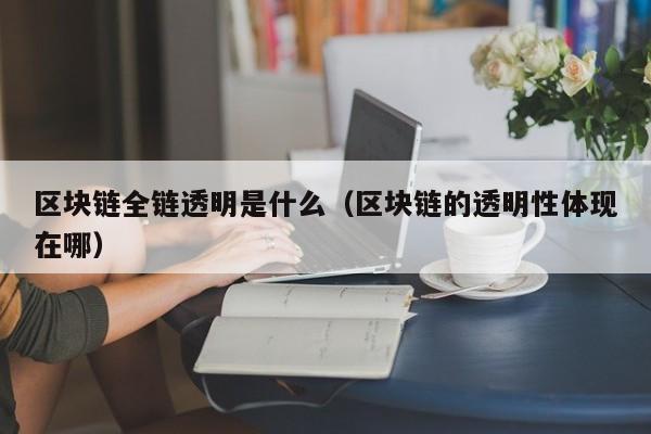 区块链全链透明是什么（区块链的透明性体现在哪）