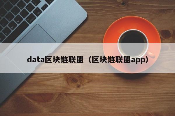 data区块链联盟（区块链联盟app）
