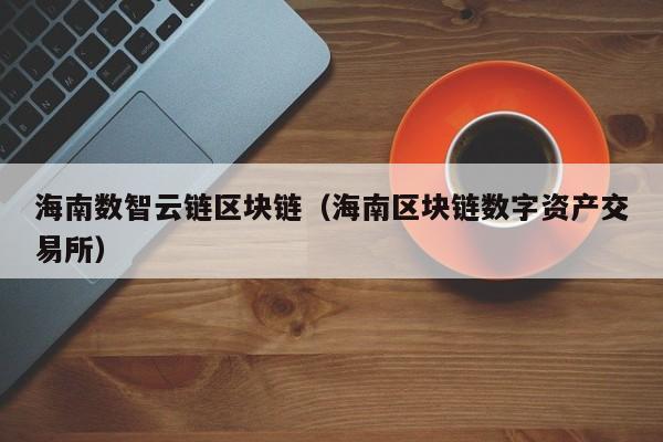 海南数智云链区块链（海南区块链数字资产交易所）