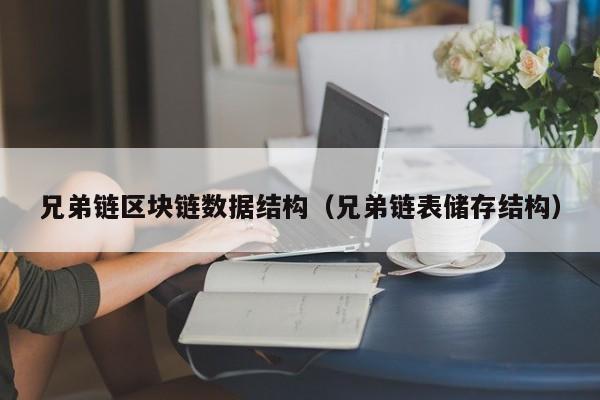 兄弟链区块链数据结构（兄弟链表储存结构）