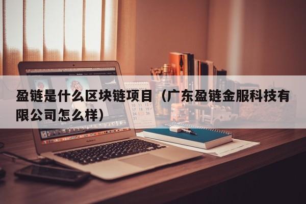 盈链是什么区块链项目（广东盈链金服科技有限公司怎么样）