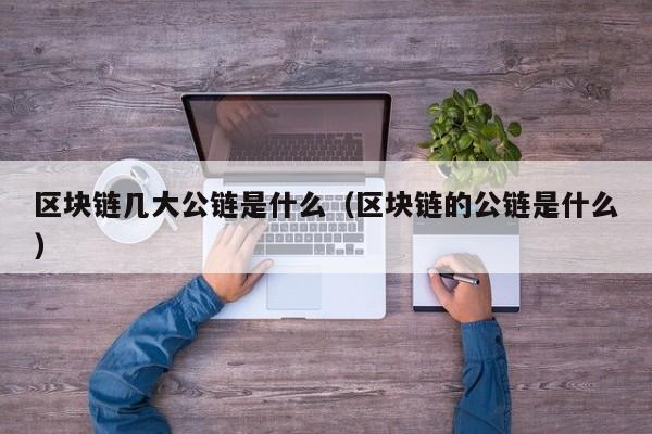 区块链几大公链是什么（区块链的公链是什么）